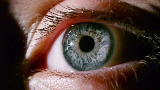 Macro shooting of female grey eye with dilating pupil