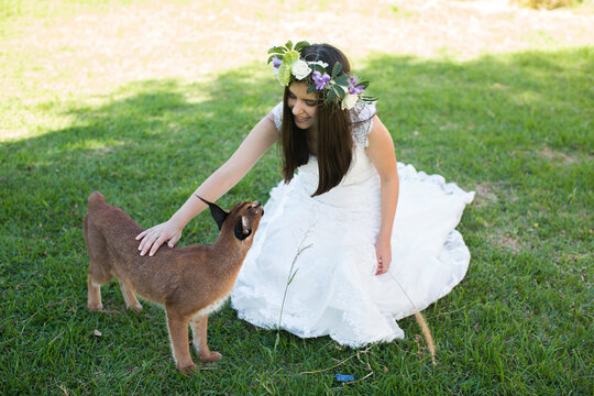 bride and lynx