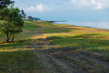 beach and sea on a sunny day in the shade of the pines
