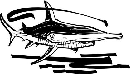 shark isolated on white