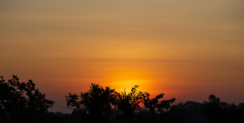 silhouette trees with fog and smoke during sunrise