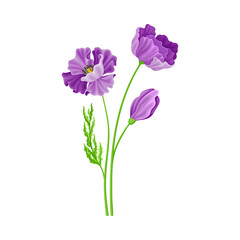 Purple Flower on Stem or Stalk as Meadow or Field Plant Vector Illustration