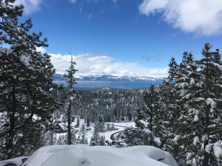 View of Lake Tahoe framed by snow covered trees, taken from a high vantage point