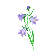 Green Flower Stem or Stalk with Violet Florets as Meadow or Field Plant Vector Illustration
