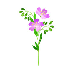 Violet Flower on Stem or Stalk as Meadow or Field Plant Vector Illustration