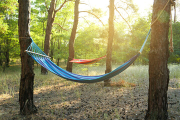 Empty comfortable blue hammock hanging in forest
