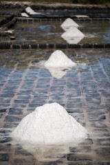 Fields of salt on the shores of the Indian ocean in Mauritius. The collection of salt.