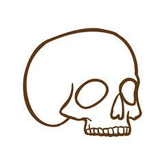 Simple Skull vector design for print tattoo and digital needs