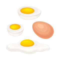 Boiled and Scrambled Eggs as Breakfast Ingredients Vector Illustration. Fresh and Healthy Food for Morning Meal Cooking and Eating Concept