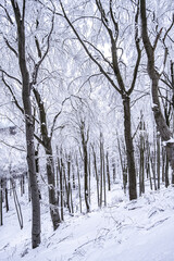 Bezdez Castle is a Gothic castle located some 20 kilometres southeast of Ceska Lipa, in the Liberec Region, Northern Bohemia, Czech Republic. Its construction began before 1264.