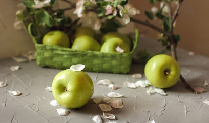 A fresh green apple and fallen petals of apple flowers on the background of an apple tree branch. Selective Focus
