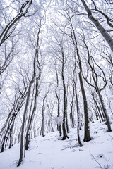 Bezdez Castle is a Gothic castle located some 20 kilometres southeast of Ceska Lipa, in the Liberec Region, Northern Bohemia, Czech Republic. Its construction began before 1264.