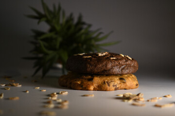 beautiful background of almond chocolate cookie