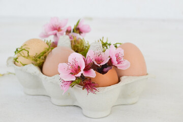 Spring flowers in egg shells on white background. Easter decoration. Copy space.