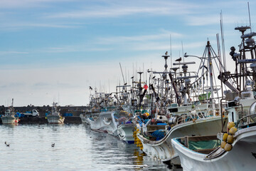 北海道の漁港  北海道白老市