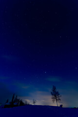 Fototapeta premium 北海道美瑛町 夜明け間際の冬の夜空