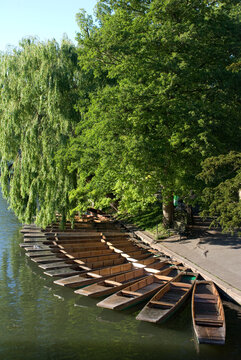 Cambridge punts on river Cam.