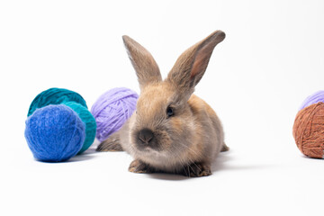 Beautiful little fluffy rabbit against the background of soft wool yarn, tangles and threads of knitting yarn.