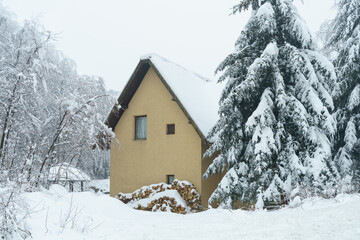Winter mountain landscape. House for weekend on mountain and fir tree under the snow . High quality photo