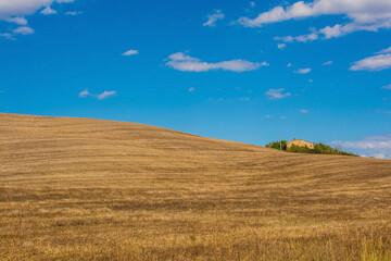 Fototapeta na wymiar The late summer landscape around Montalcino in Siena Province, Tuscany, Italy 
