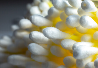 Ear cotton swabs on the white background.