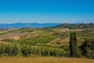 Naklejka premium The late summer landscape around Pienza in Val d'Orcia, Siena Province, Tuscany, Italy 