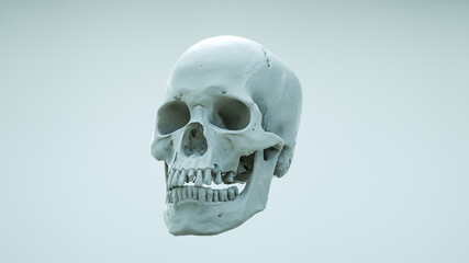 Human skull in profile on saturated colors on a light background. The concept of death, horror. Creepy Halloween symbol, Virus. 3d render illustration.
