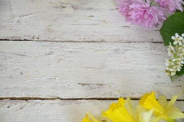spring white and lilac or purple flowers on wooden white background and yellow daffodils. background for spring holidays. mother's day, easter