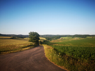 Blick auf den Thüringer Wald vom Sand Unkeroda