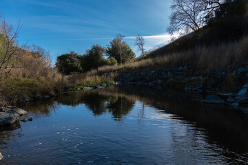 Landscape Reflection in River
