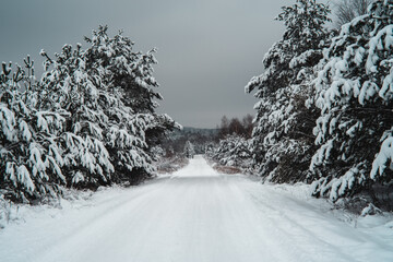 Snow covered road, winter landscape. Lithuania