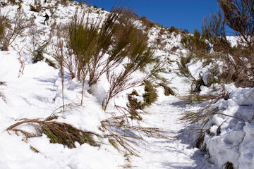 landscape with snow. the relief hilly snow surface is shot in close-up from below.