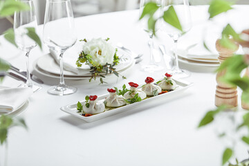 Fresh burata cheese with tomatoes and herbs on white plate