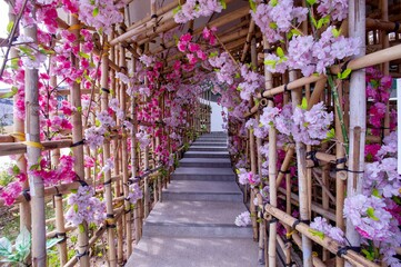 Pink flowers in bamboo