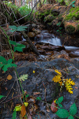 autumn landscape with a waterfall