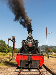 Tourist train called Valdiviano that runs from Valdivia to Antilhue with a 1913 North British locomotive type 57. Los Rios Region, in southern Chile.