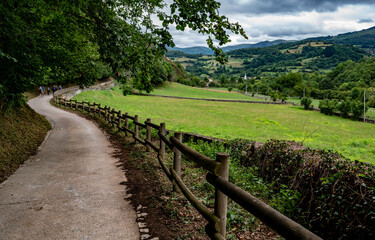 Ruta del Alba following a pasture near Soto de Agües in Asturias, Spain