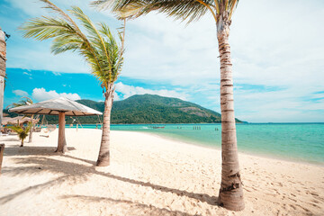 palms and sun beds with sea view. Tropical beach landscape as summer vacation and holiday resort