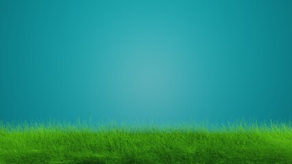 Fototapeta na wymiar Green grass and blue sky 3d rendering illustration. Empty space for text.