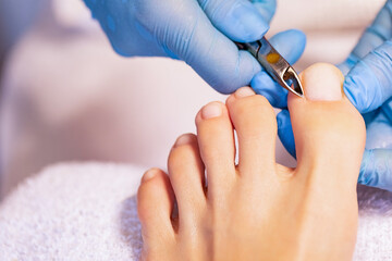 Close up of professional painting french pedicure nails on foot. Specialist in beauty salon making french pedicure for female client. Relaxing at beauty salon, caring about nails.     