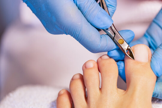 Close up of professional painting french pedicure nails on foot. Specialist in beauty salon making french pedicure for female client. Relaxing at beauty salon, caring about nails.        
