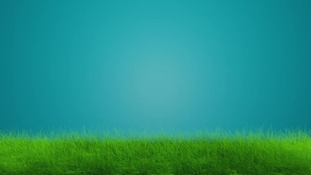 Green grass and blue sky 3d rendering motion animation. Empty easter background motion animation.
