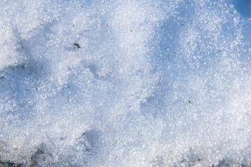 Beautiful snow background close up.Texture,backdrop,wallpaper