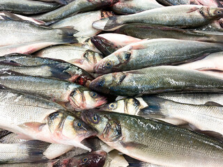 Fresh fish on the market. Overhead view of seafood