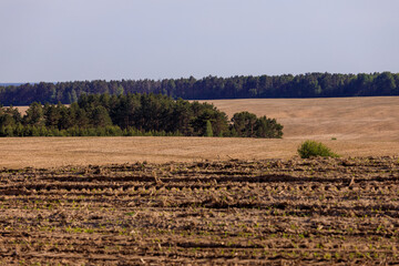 plowed field zhytomyr region ukraine