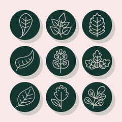 leaves line style icon set vector design