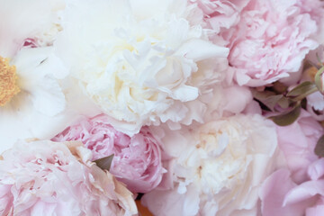Bouquet of pink and white peony flowers