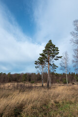 Das Naturschutzgebiet Schlangenberg der Stadt Stolberg Rhld. - Breiniger Berg