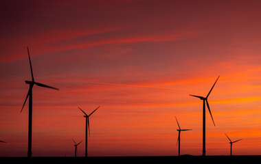 Field of windmill during a beautiful sunset source of green energy great for the environment