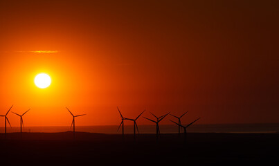 Field of windmill during a beautiful sunset source of green energy great for the environment